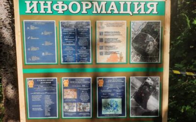 В Могилеве установлено ранее неизвестное место захоронения мирных жителей